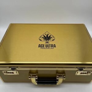 Ace Disposable Vape 2G