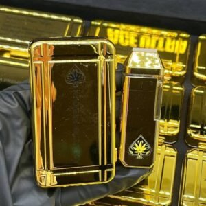 Ace Disposable Vape 2G