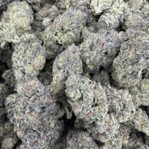 Obama Runtz Weed Strain