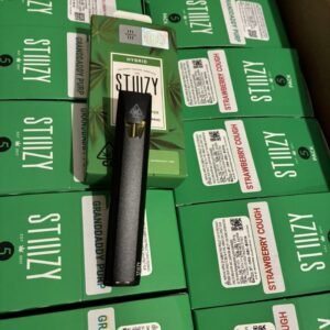 1 Gram Stiiizy Disposable