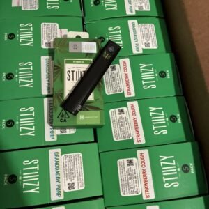 1 Gram Stiiizy Disposable