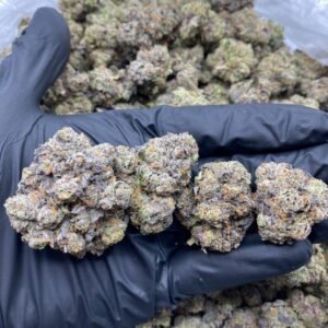 Banana Sherbert Strain