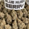 Blue Kush Berry