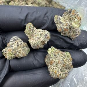 White Trufflez Strain