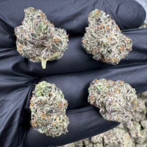 White Trufflez Strain