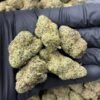 White Zlushie Weed Strain