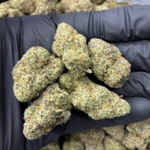 White Zlushie Weed Strain
