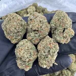 Orange Creamsicle Strain