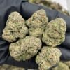 Laughing Gas Strain