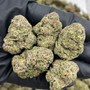 Laughing Gas Strain