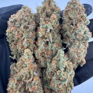 Lemon Haze Strain