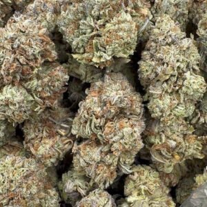 Ice Cream Gelato Strain
