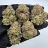 Ice Cream Gelato Strain