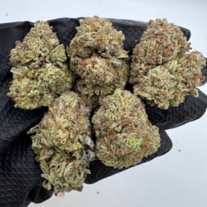 Ice Cream Gelato Strain