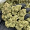 Gorilla Glue Strain