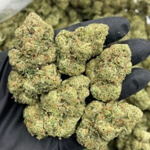 Gorilla Glue Strain