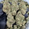 Magic Runtz Strain