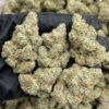 Strawberry Fanta Strain