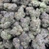 Purple Gumbo Strain