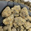 Magic Marker Strain