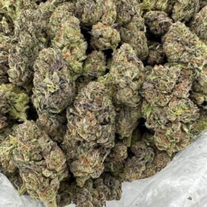 Jungle Cake Strain