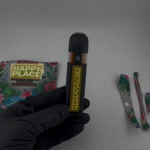 Happy Place 2G Disposable